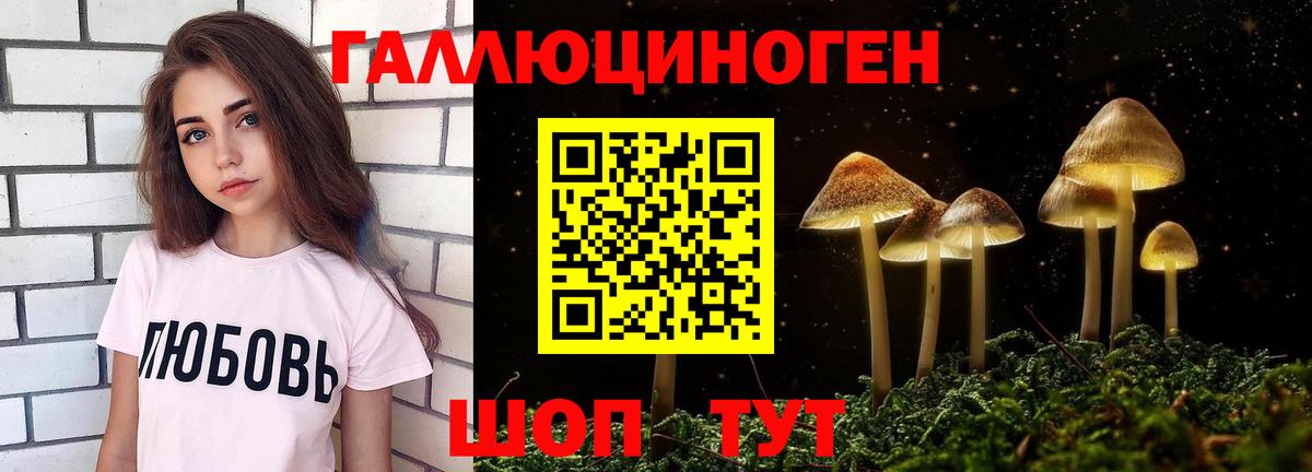 Людиново  Псилоцибиновые грибы Psilocybine cubensis  Вход с VPN 